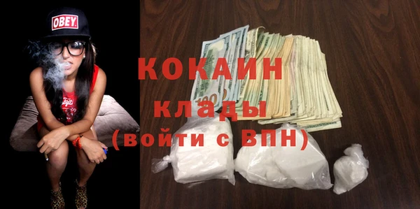 твердый Арсеньев