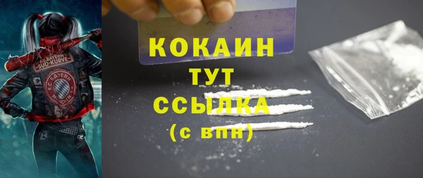 твердый Арсеньев