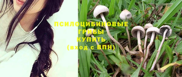 мескалин Аркадак