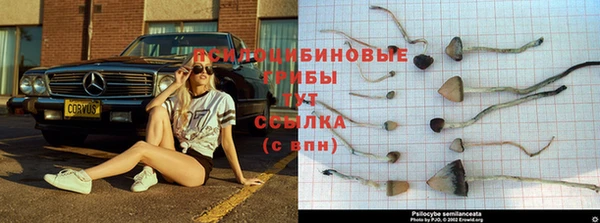 мескалин Аркадак
