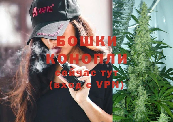 твердый Арсеньев